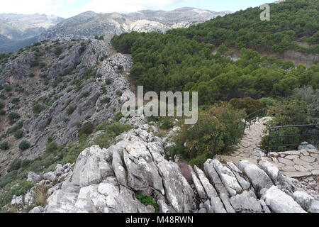 Naturpark Sierra de las Nieves, Andalusien Stockfoto