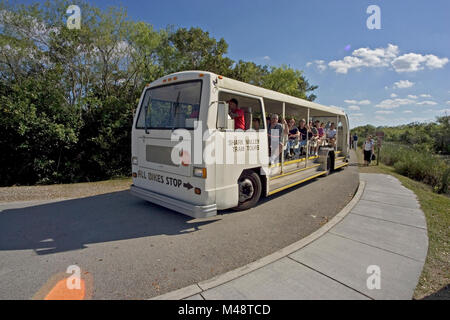 Shark Valley Tram Tour.,. Stockfoto