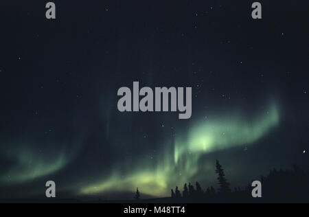 Northern lights - Polarlichter / Aurora Borealis Stockfoto