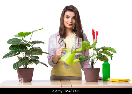 Frau kümmert sich um Pflanzen isoliert auf weiss Stockfoto