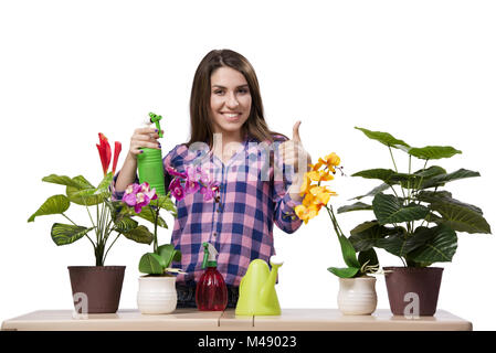 Junge Frau kümmert sich um Pflanzen Stockfoto