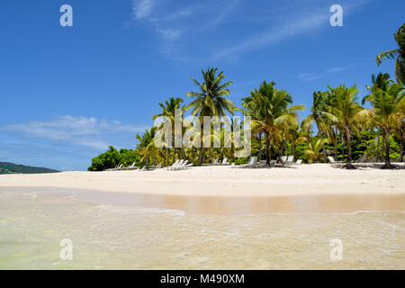 Wunderschöne Insel im Karibischen Meer mit weißem Sand und türkisfarbenem Wasser, der Dominikanischen Republik, Palmen, Sonnenliegen, blauen, wolkenlosen Himmel, Zeit zum Entspannen Stockfoto