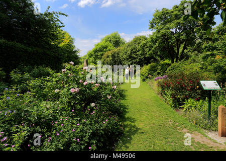 Sommer Blick in Highdown Gärten, Goring-by-Sea Village, West Sussex, England, Großbritannien Stockfoto