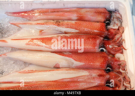 Red squids an berühmten Tsukiji Fischmarkt in Tokio, Japan. Frische Meeresfrüchte. Stockfoto