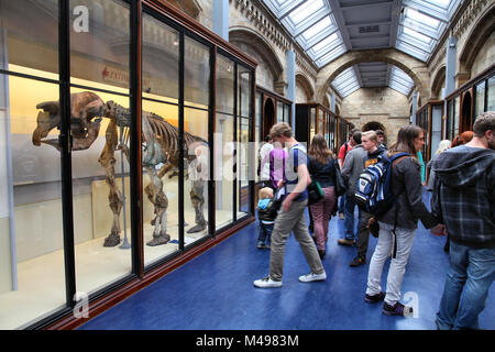 LONDON - 14. Mai: Besucher bestaunen das Natural History Museum am 14. Mai 2012 in London. Mit mehr als 4.1 Millionen jährlichen Besuchern Es ist die 4. Die meisten Besuchen Stockfoto