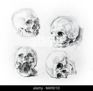 Schädel-Studie zeichnen. Bleistift auf Papier. Stockfoto