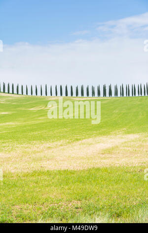 Klassische toskanische Panorama mit Hügeln und Zypressen an einem sonnigen Tag Stockfoto