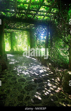 Gasse in Pflanzen in Altos de Chavon, Dominikanische Republik Stockfoto