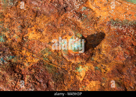 Detail einer rostiges Metall oberfläche mit Schraube und Mutter Stockfoto