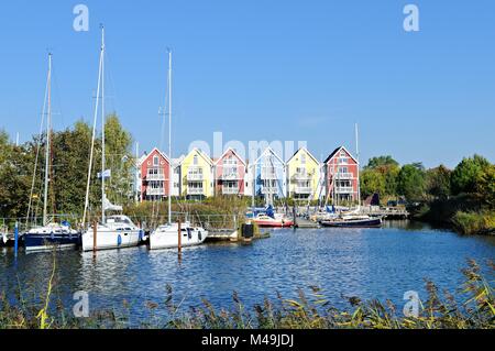 Wald Teich Quartier Greifswald Ostsee Deutschland Stockfoto