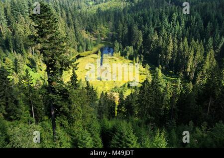 Ellbachsee Seeblick von der Plattform Freudenstadt-Kniebis Schwarzwald Deutschland Stockfoto