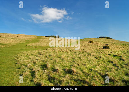 UK, Gloucestershire, Cheltenham, Cleve Hügel Stockfoto