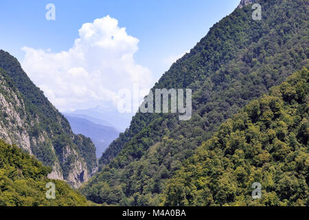 Die bergige Landschaft der Pisten von Wald bedeckt. Stockfoto