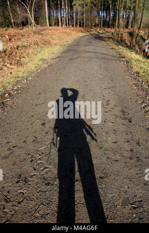 Schatten des Fotografen werfen auf einem Waldweg an einem sonnigen Tag. Stockfoto