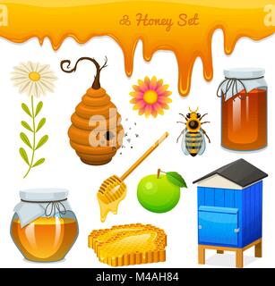 Honig, Bienen- und Hive, Löffel und Honigseim, Bienenkorb und Bienenhaus. natürliche Bauernhof Produkt. imkerei oder Garten, Blume, Kamille, Apple und jar. Gesundheit, organischen Spezialitäten, Medizin Illustration, Landwirtschaft. Stock Vektor