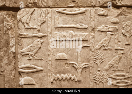 Riesige sand Wand mit verschiedenen Figuren Schnitzereien aus dem alten Ägypten Stockfoto