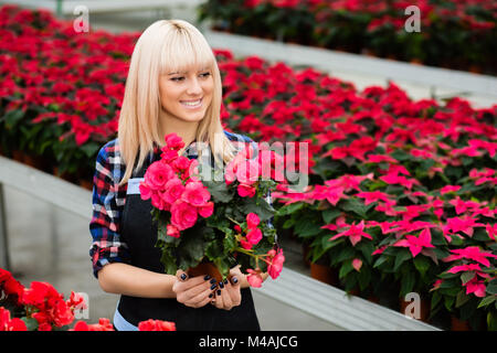 Frau Arbeit in einem Gewächshaus. Stockfoto