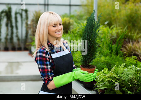 Garten Center Mitarbeiter arbeitet Stockfoto
