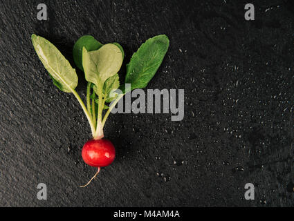 Eine organische köstlichen roten Rettich auf schwarzem Hintergrund. Stockfoto