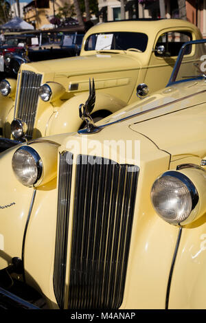 Ein 1936 Packard 120B Coupé und 1939 Packard 'Darrin' auf dem Display bei "Autos am 5. th'Autoshow, Naples, Florida, USA Stockfoto