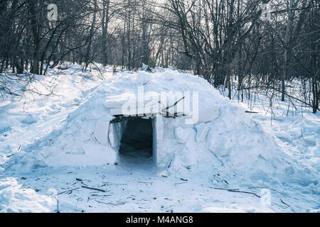 Ein kleines Iglu im Wald zwischen den Bäumen. Schnee Hütte Stockfoto