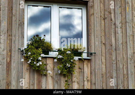 Fenster Stockfoto