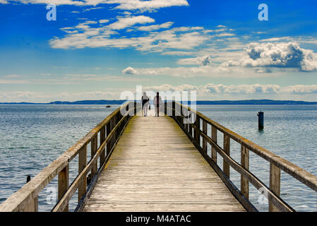 Die Brücke Stockfoto