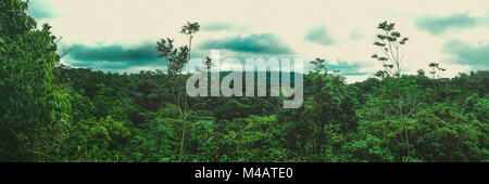 Panoramablick REGENWALD IN COSTA RICA Stockfoto