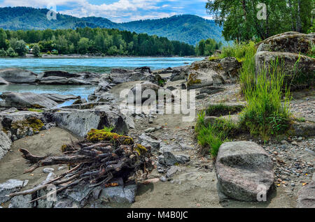 Landschaft Sommer auf der felsigen Ufer des schnellen sibirischen Fluss Katun, Felsen aus Kalkstein mit Moos bedeckt, dichten Wald auf beiden Banken, Altai Doppelzi. Stockfoto