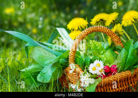 Gesammelten wilden Kräuter in einem Korb Stockfoto