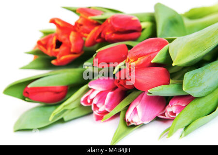 Tulpen Blumenstrauß isoliert auf weißem Stockfoto