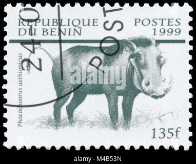 BUDAPEST, Ungarn - 11. Februar 2017; Stempel gedruckt in Benin aus der Ausgabe der "DUGONGS" [SÄUGETIERE' zeigt Wüste Warzenschwein (Phacochoerus aethiopicus), ca. 1999 Stockfoto