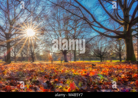 Regents Park im Herbst Stockfoto