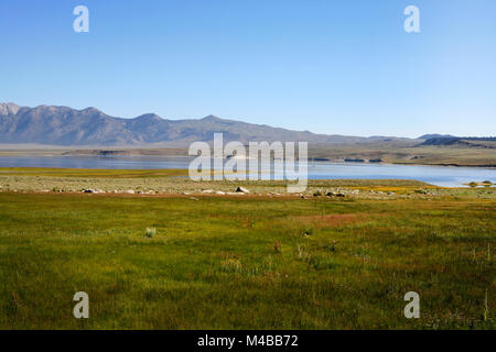 Amerikanische Landschaft in Kalifornien mit Gras, den See und die Berge in der Ferne mit klaren blauen Himmel an einem Sommertag Stockfoto