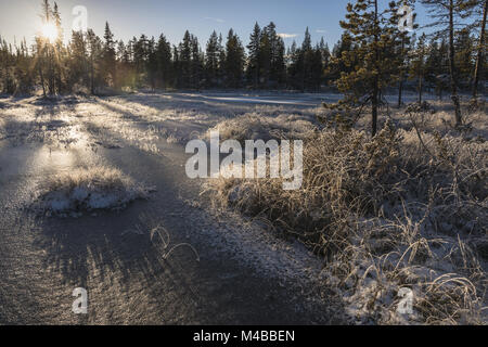 Rauhreif bedeckte Landschaft, Lappland, Schweden Stockfoto