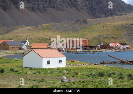 Grytviken, Südgeorgien Stockfoto