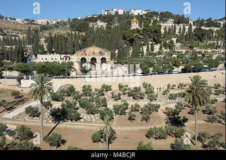 Kidron und der Ölberg in Israel. Stockfoto