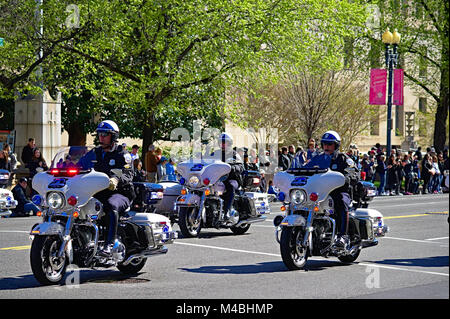 Die Metropolitan Police Dept Motor cycle Team in Cherry Blossom Parade im Distrikt von Columbia Stockfoto