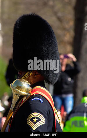 US Army Guard Band bei Cherry Blossom Parade 2017 in Washington DC Stockfoto