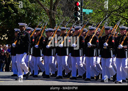 United States Marine Platoon Stockfoto