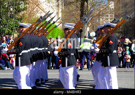 United States Marine Platoon Stockfoto