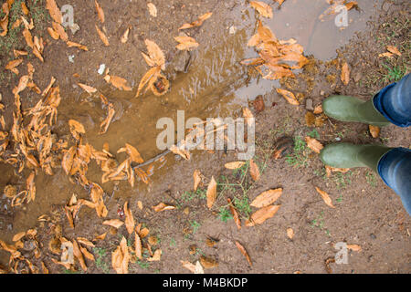 Eine Person, ein paar traditionelle grüne Gummi Gummistiefel in einem Wald. Regnerischen Herbst mit Blätter auf dem Boden. persönliche Sicht Stockfoto