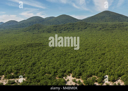 Schöne Landschaft im Süd-Kamtschatka-Naturpark. Stockfoto