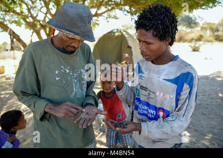 Bushman kauft Larven von Bushman Pfeil - Gift Käfer (Diamphidia nigroornata) für die Herstellung von Pfeil Gift, Tsumkwe Stockfoto