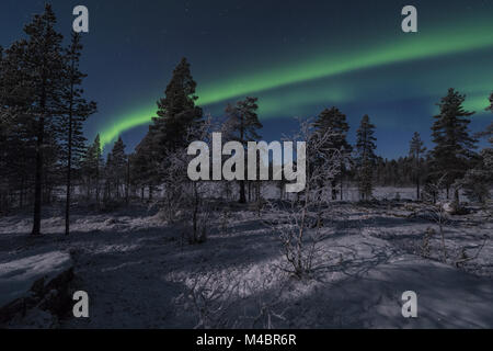 Northern Lights oben mondhelle Landschaft, Lappland, Schweden Stockfoto