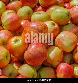 Leckere Äpfel auf dem Markt Stockfoto