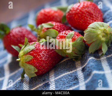 Rote reife süße Erdbeeren auf blauem Tuch Stockfoto
