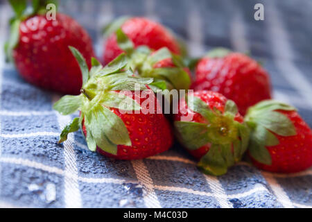 Rote reife süße Erdbeeren auf blauem Tuch Stockfoto