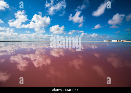 Salz Rosa Lagune in Las Coloradas, Yucatan, Mexiko Stockfoto