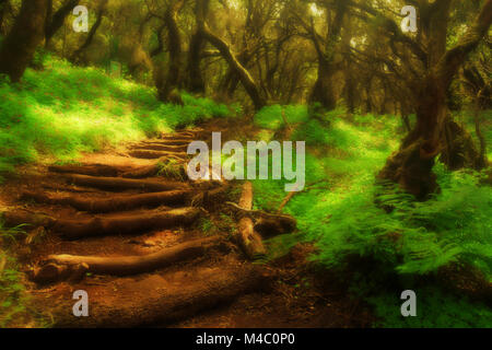 Wald Treppen in einem Nationalpark Garajonay Stockfoto